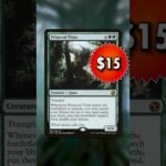 MTG Weekly Finance (2/22/25)
