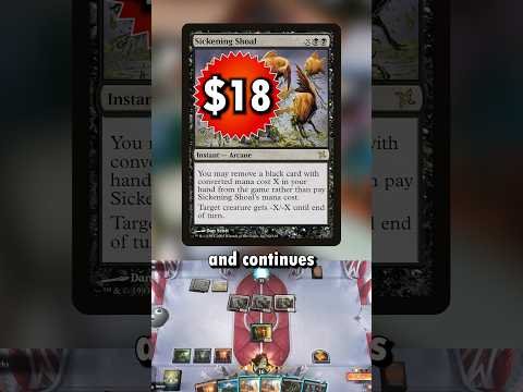 MTG Weekly Finance (3/6/25)