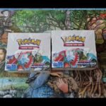 Im stuck with 3,000 Paradox Rift Booster Boxes