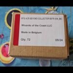 Assassins Creed Collector Case