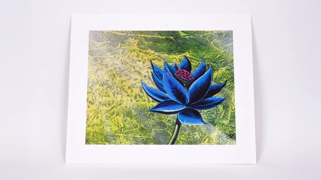 Black Lotus from Cook and Becker