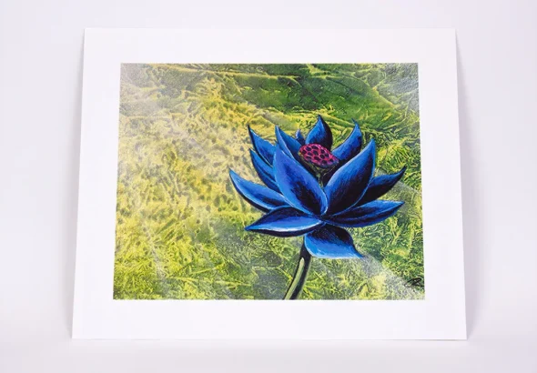 Black Lotus from Cook and Becker