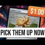 I Can't Believe These Cards are Less than $1! Pick Them Up Now!