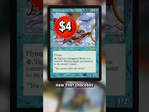 MTG Weekly Finance (5/31/25)