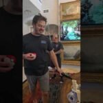Pokemon Balls