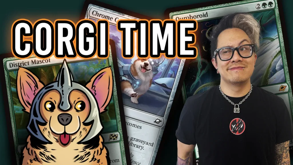 Single Scoop: Artifacts & ViVi vs A Corgi