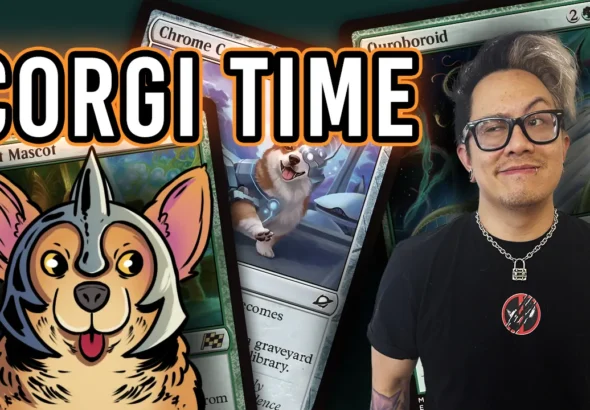 Single Scoop: Artifacts & ViVi vs A Corgi