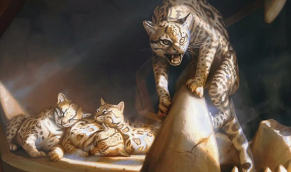 July ’25 Metagame Update: The Metagame Resolved