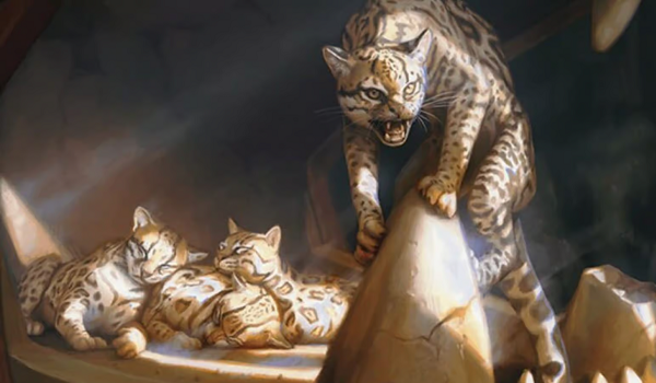 July ’25 Metagame Update: The Metagame Resolved